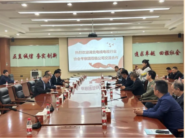 山東泰開電纜有限公司總經(jīng)理張愛華陪同下，交流團一行人參觀了集團展廳，詳細了解集團的發(fā)展歷程、經(jīng)營理念、科研創(chuàng)新、核心零部件等情況，同時考察了集團下屬高壓、電纜制造現(xiàn)場。在座談會上，雙方就技術研發(fā)、生產(chǎn)管理、質(zhì)量控制、員工獎勵等方面的問題進行了友好互動交流。