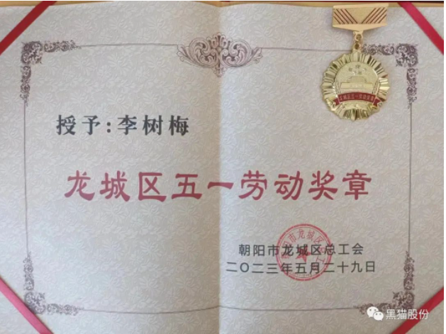 李樹梅同志在她的工作崗位上展現出了杰出的能力和卓越的業績。作為公司中層干部，她始終將公司利益置于首位，并不斷提升自己的專業水平。她通過努力學習，先后取得了管理學和工學學士學位，并獲得了經濟師、機電工程師、電子工程師和化工助理工程師等多個職業資格證書。在她的帶領下，市級職工職業技能培訓基地得以成立，為公司培養了更多的技術人才。