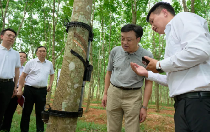 據(jù)了解，天然橡膠作為國家重要的戰(zhàn)略物資和工業(yè)原料，也是膠農(nóng)收入的重要來源。海南作為我國重要的天然橡膠生產(chǎn)和加工基地，馮飛書記指出，海南合勝橡膠科技有限公司和相關科研單位應始終懷揣著"國之大者"的情懷，堅定發(fā)展信心，聚焦海南天然橡膠全產(chǎn)業(yè)鏈發(fā)展，致力于打破產(chǎn)業(yè)鏈發(fā)展中的阻礙，推動海南天然橡膠產(chǎn)業(yè)高質(zhì)量發(fā)展，確保國家天然橡膠供給的安全。