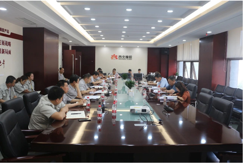 為加強安全生產管理，確保安全底線，延長石油集團公司安全包聯領導解金城一行于今日來到陜西延長石油西北橡膠有限公司，展開了包聯單位的安全專項督查工作。在張航偉公司總經理和黨委副書記的陪同下，相關領導班子成員和部門負責人參加了座談交流。
