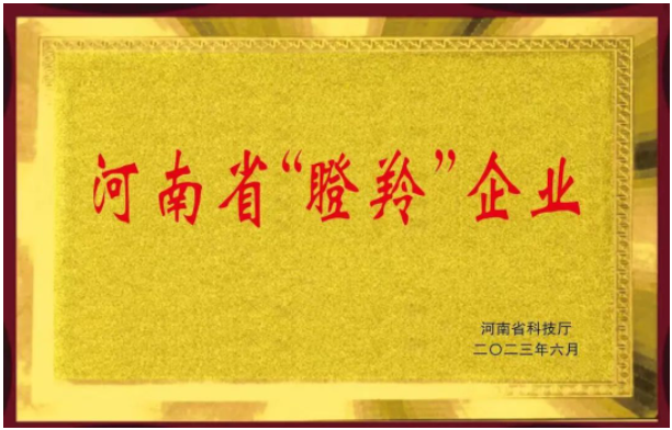 恒力橡塑股份有限公司的入選不僅證明了該公司在橡膠助劑領(lǐng)域的突出成就，同時(shí)也彰顯了河南省在科技創(chuàng)新和高新技術(shù)企業(yè)培育方面的努力。