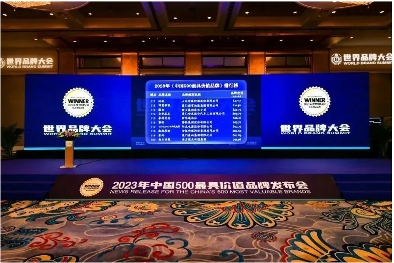 賽輪集團憑借其深厚的品牌積淀和強大的品牌成長力，逐步躋身世界級輪胎品牌的行列。未來，賽輪集團表示將繼續堅持創新研發，以"中國匠心"打造"世界品質"，不斷豐富品牌底蘊，開啟中國輪胎品牌崛起的新篇章!