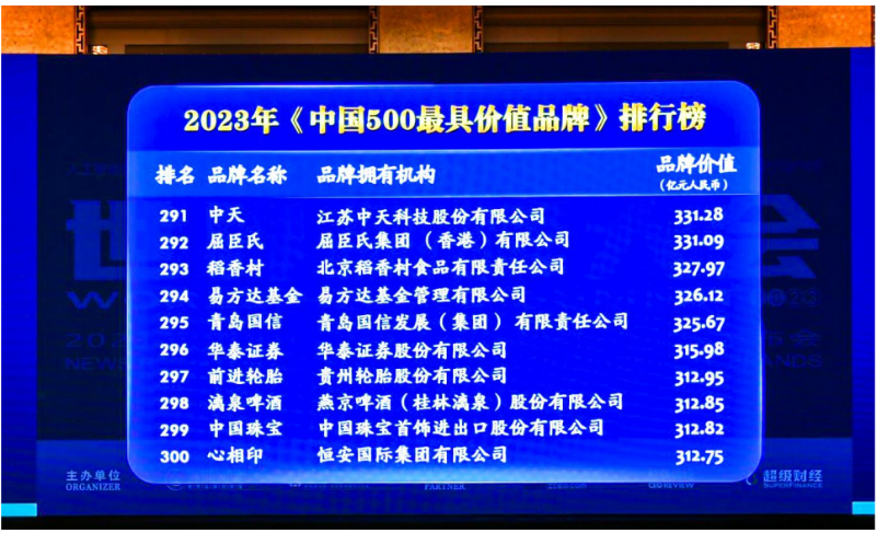 貴州輪胎前進品牌以312.95億元人民幣的價值位列2023年(第二十屆)中國500最具價值品牌第297名。與去年相比，貴州輪胎前進品牌的品牌價值增加了42.3億元人民幣，進一步鞏固了其在國內市場的地位，并成功進軍國際化品牌陣營。