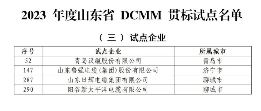 多家電線電纜企業入選山東省DCMM貫標試點名單