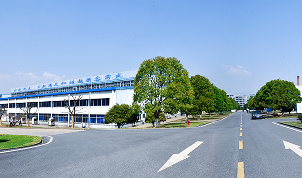 走進位于安徽省宣城市寧國市的安徽中德(寧國)國際合作智能制造產業園中鼎工業園展廳，一幅繁盛景象展現在眼前——這里陳列著各式各樣的汽車零部件，令人眼花繚亂。