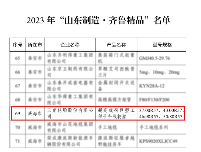 三角輪胎在這些榮譽中的獲得，充分展示了其在科學(xué)研究、工業(yè)領(lǐng)域和制造業(yè)發(fā)展方面的卓越表現(xiàn)。
