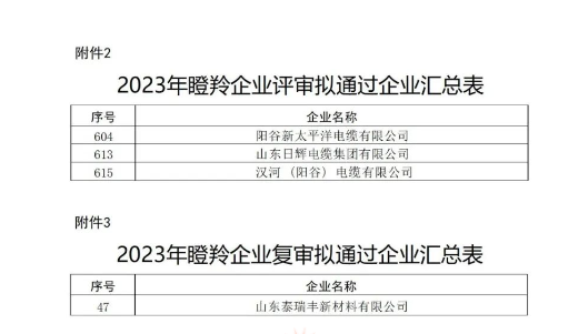 山東省工業和信息化廳在本次認定工作中嚴格按照相關文件規定的程序和標準進行評選，充分尊重市場主體自愿申報的原則，注重專家評審和第三方信用評級的公正性與權威性，確保了認定結果的準確性和公信力。