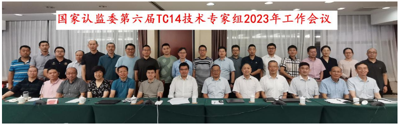 會議主要聚焦于新版方法標準GB/T521-2023、GB/T4501-2023、GB/T4502-2023的換版要求，以及輪胎滾動阻力、濕路面相對抓著性能的納入GB 9743、GB 9744發布實施后輪胎CCC認證實施方案。同時，專家們還深入探討了在認證檢測實施過程中所面臨的技術難題。