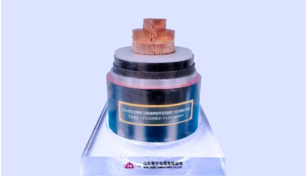 展望未來，泰開電纜表示將繼續發揮科研平臺在關鍵技術攻關、科技成果轉化、創新人才培養、產學研協同發展等方面的重要作用，力爭實現新產品、新技術、新工藝方面的再突破，助力行業和產業鏈的協同發展!