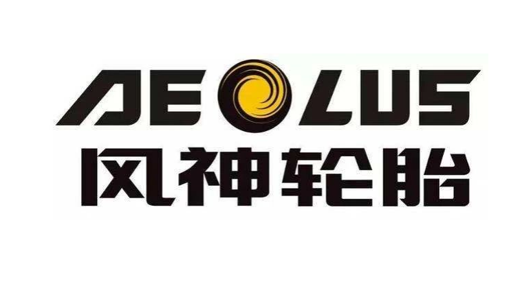 河南省制造業(yè)頭雁企業(yè)名單正式對(duì)外公布。在這份名單中，風(fēng)神輪胎股份有限公司脫穎而出，成為唯一入選的輪胎企業(yè)。