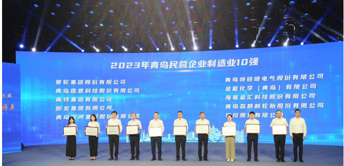 依托青島科技大學(xué)的支持，賽輪集團(tuán)憑借其內(nèi)在的科技創(chuàng)新基因脫穎而出。成立20余年來，該集團(tuán)始終秉持著“做一條優(yōu)質(zhì)輪胎”的使命，緊緊抓住自主創(chuàng)新這一引擎，聯(lián)合國家橡膠與輪胎工程技術(shù)研究中心，全力攻克一系列核心技術(shù)難題。不僅成功研發(fā)出世界最大尺寸的63吋巨型工程子午胎，還發(fā)布了全球首個投入使用的橡膠工業(yè)互聯(lián)網(wǎng)平臺——“橡鏈云”。此外，其還運用全球首創(chuàng)的化學(xué)煉膠技術(shù)，成功研發(fā)出新一代輪胎產(chǎn)品，被譽為“液體黃金”輪胎。這一產(chǎn)品不僅在耐磨方面實現(xiàn)突破，還在節(jié)能、舒適性和制動距離等方面做出了顯著貢獻(xiàn)，解決了業(yè)界長期面臨的“魔鬼三角”難題。