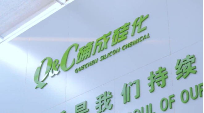 確成硅化學股份有限公司自成立至今，專注于沉淀法二氧化硅產品的研發、制造和銷售，經過20年的發展，已經成為全球主要的二氧化硅產品專業制造商之一。確成股份擁有從原材料硫酸、硅酸鈉到最終產品二氧化硅的制造產業鏈，產品主要市場聚焦在橡膠工業領域的高性能子午線綠色輪胎配套專用材料以及動物營養品領域的動物飼料載體用二氧化硅。此外，確成股份在國內外擁有多個生產基地，總產能位列世界第三位，主要客戶包括國際知名輪胎和動物營養品公司。