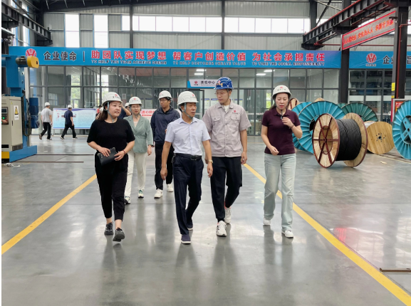 華東電纜表示下半年將集中精力提高產(chǎn)品質(zhì)量，強化風(fēng)險防控，積極應(yīng)對市場訂單，全力以赴，確保完成全年經(jīng)營發(fā)展目標(biāo)任務(wù)，進一步推動經(jīng)濟實現(xiàn)有效提升和合理增長。