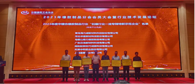 在行業技術論壇上，貝洛新材發展中心總監姚芳偉發表了題為《廚衛電器核心密封件的國產替代之路》的主題演講。他回顧了廚衛電器密封件行業的發展歷程，深入分析了國內外產品的差異與發展趨勢。姚芳偉的演講為國產化產品的發展貢獻了重要思路與方向。