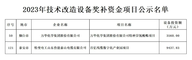 根據(jù)山東省政府《關(guān)于印發(fā)2023年“穩(wěn)中向好、進(jìn)中提質(zhì)”政策清單(第一批)的通知》(魯政發(fā)〔2022〕18號(hào))以及《關(guān)于組織申報(bào)2023年技術(shù)改造設(shè)備獎(jiǎng)補(bǔ)資金項(xiàng)目的通知》(魯工信規(guī)〔2023〕109號(hào))的要求，山東省工業(yè)和信息化廳積極組織并展開了2023年技術(shù)改造設(shè)備獎(jiǎng)補(bǔ)資金項(xiàng)目評(píng)審工作。在經(jīng)歷了企業(yè)申報(bào)、各市推薦、財(cái)務(wù)審核、專家評(píng)審、部門核查等多個(gè)環(huán)節(jié)后，最終擬定了包含216個(gè)項(xiàng)目的2023年技術(shù)改造設(shè)備獎(jiǎng)補(bǔ)資金項(xiàng)目名單。