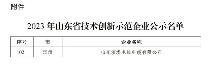 據(jù)悉，山東濱澳電線電纜有限公司先后獲得國(guó)家級(jí)高新技術(shù)企業(yè)、山東省企業(yè)技術(shù)中心、省級(jí)專精特新中小企業(yè)、濱州市科技型中小企業(yè)等多項(xiàng)榮譽(yù)，并擁有十余項(xiàng)專利成果。公司目前擁有超過(guò)120名員工，其中有20余名從事研發(fā)技術(shù)工作。其全國(guó)工業(yè)產(chǎn)品生產(chǎn)許可證證書(shū)以及強(qiáng)大的技術(shù)創(chuàng)新能力、健全的質(zhì)量保障體系和科學(xué)的管理模式為企業(yè)不斷壯大提供了持續(xù)動(dòng)力。