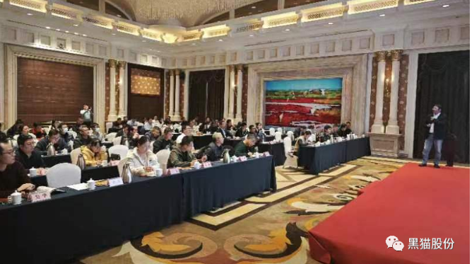 各參會嘉賓齊聚一堂，會場氣氛熱烈，會談內容豐富。通過本次推介會，黑貓股份與參會企業之間的距離得以拉近，工作思路也得以拓寬，為公司未來的高質量蓬勃發展奠定了堅實基礎。
