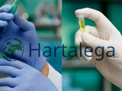 氯化手套進口激增，IRGMA呼吁印度政府加強監管