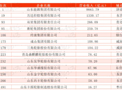 2024山東500強(qiáng)，輪胎企業(yè)大放異彩！