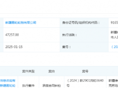新疆嘉輪輪胎有限公司被列入被執行人