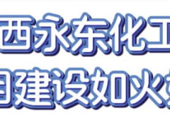 山西永東，項(xiàng)目建設(shè)如火如荼！