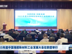 2025年度橡膠新材料工業(yè)發(fā)展大會在鶴壁舉行