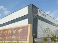 卡博特化學（柬埔寨）項目備案