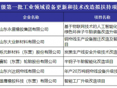 東營22個工業技改項目獲扶持，輪胎業成亮點