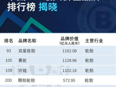 8家輪胎品牌價值躍升，較去年少一席！