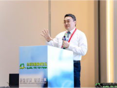 吉林大學突破非充氣輪胎設計理論，引領全球綠色輪胎革命