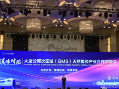 回放《滇峰對(duì)話——湄公河次區(qū)域天然橡膠產(chǎn)業(yè)合作對(duì)接會(huì)成果豐碩》