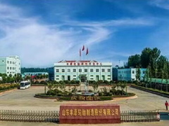 警示凍結下,某輪胎企業上市路難行